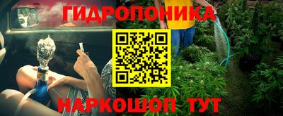 ешки Славгород