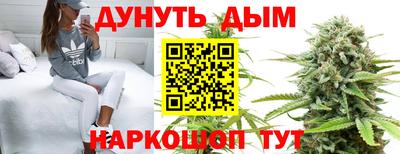 соль ск Сланцы