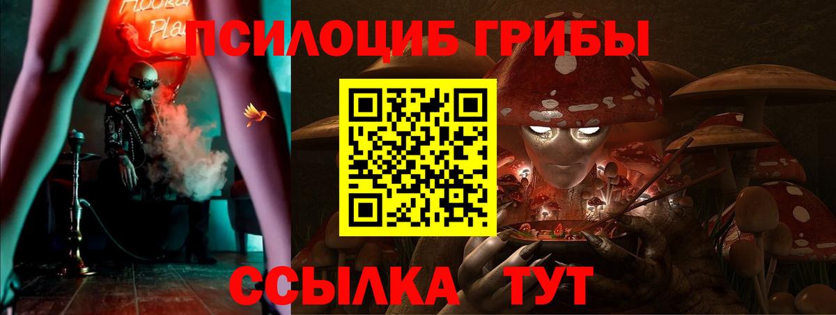 Галлюциногенные грибы ЛСД  Вход с VPN  Прокопьевск  наркошоп  Галлюциногенные грибы Psilocybine cubensis 